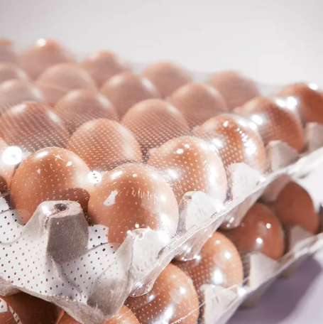 Perforated Shrink Film